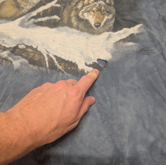 Vintage 1999 Great Wolf Lodge Grunge T-Shirt with Wolves Mountains Snow XL - Picture 2 of 7